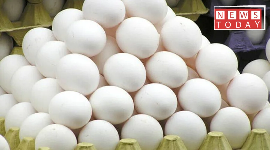انڈوں کی قیمت