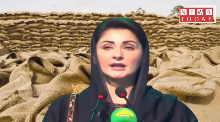 مریم نواز حکومت