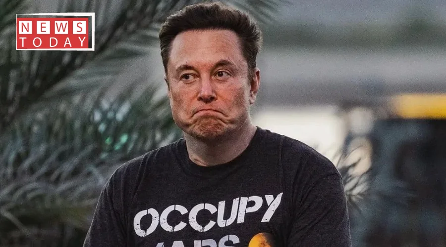 Web Elon Musk