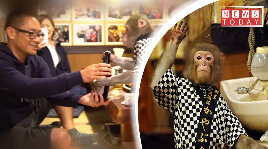 بندر جاپانی ریستوراں میں